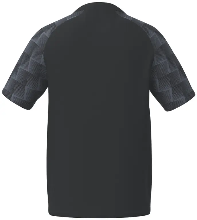 Noirslategrey dos.webp