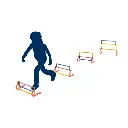 Haie 4 hauteurs.webp