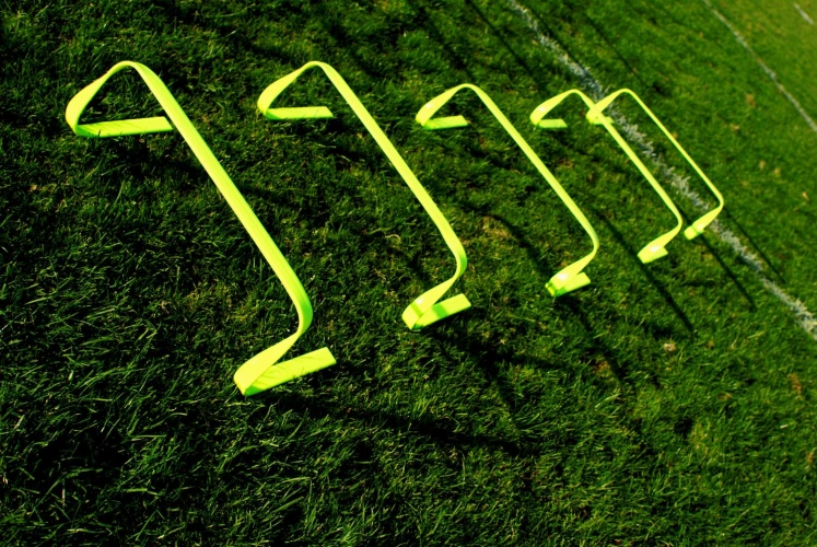 Lot de 5 haies souples Powershot